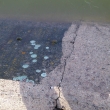 �i�t�n� za�l�ho betonu- po��rn� n�dr� �.2