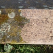 �i�t�n� za�l�ho betonu- po��rn� n�dr� �.1